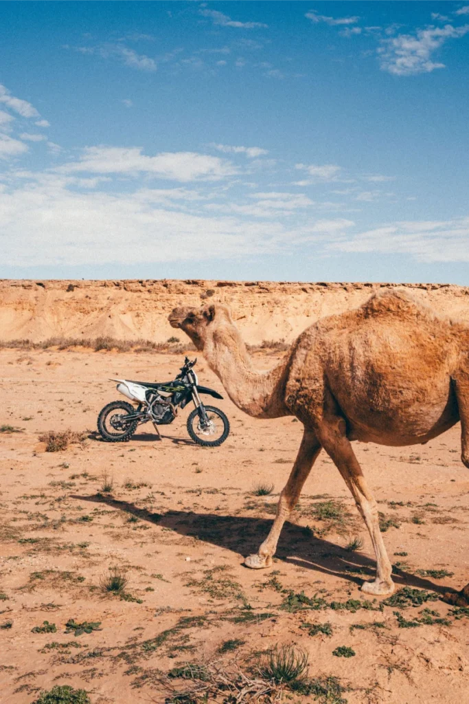 Day 2:  Zagora to Foum Zguid