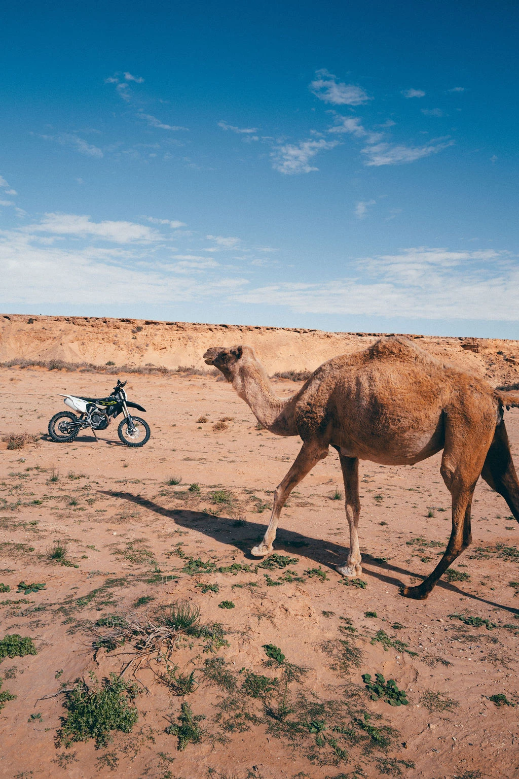 Sahara Raid Experience — photo 8