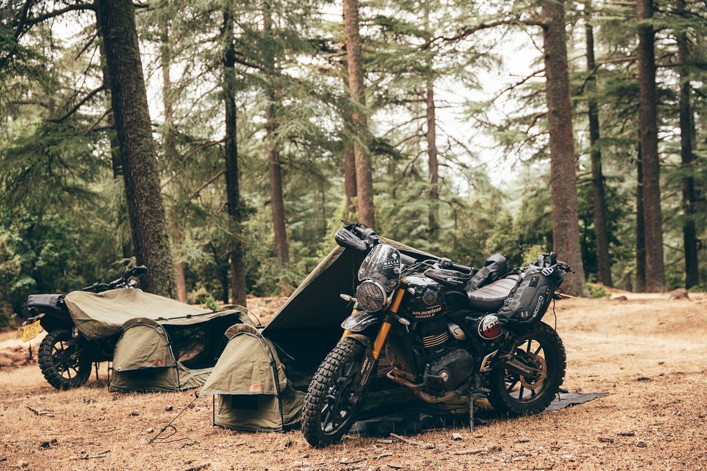 Riding through the Atlas cedar forests